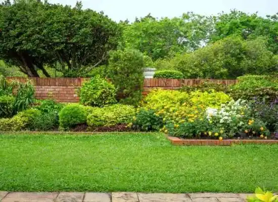 landscaping services Freeman